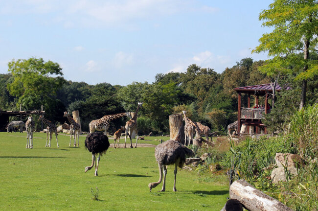 Der Zoo Leipzig ist im europaweiten Vergleich weiterhin auf Platz 2 der besten Zoos.