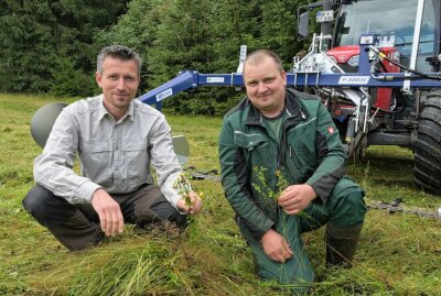 Neue Technik schont Insekten im Erzgebirge - Foto: Ralf Wendland