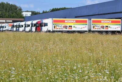 Neues Kühl- und Tiefkühl-Logistikzentrum geht in Betrieb - Perspektivisch können aus dem Rossauer Logistikzentrum bis zu 250 Filialen beliefert werden. Foto: Jürgen Sorge