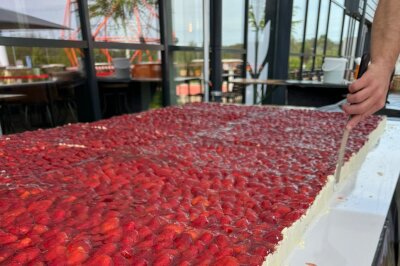 Ninersdays im "Herzstück": Gigantischer Erdbeerkuchen erwartet Besucher - Der Kuchen wird etwa 90kg Erdbeeren, 40kg Biskuitboden, 50 Liter Gelee, 30kg Butterkrem und 20kg Rollfondant für die Logos enthalten.
