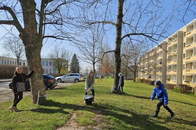 Nistkästen der Auerswalder Grundschule finden Platz im Chemnitzer Stadtgarten