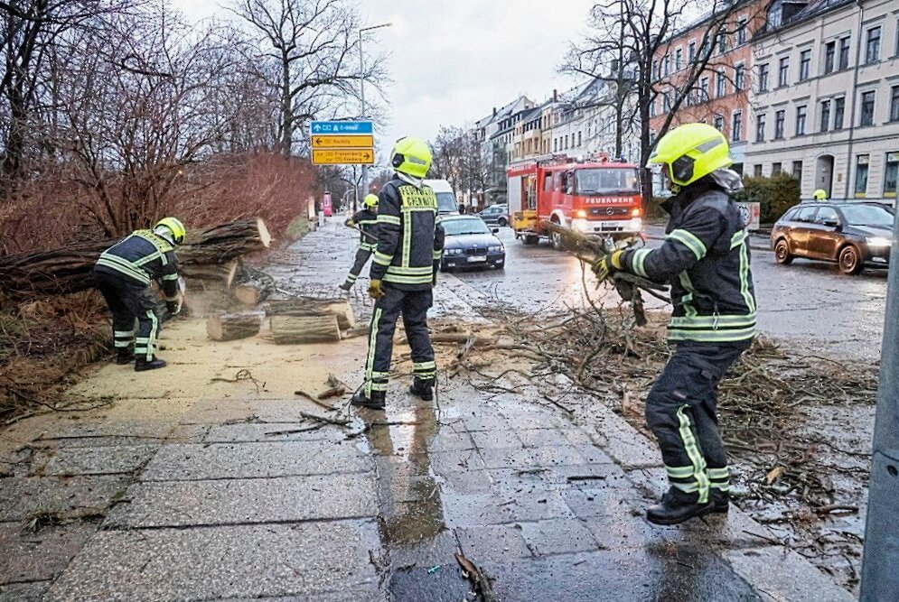 Orkantief "Ylenia" sorgt für umgestürzte Bäume in Chemnitz - Die Kameraden der Feuerwehr Chemnitz entfernen einen umgestürzten Baum. Foto: Harry Härtel
