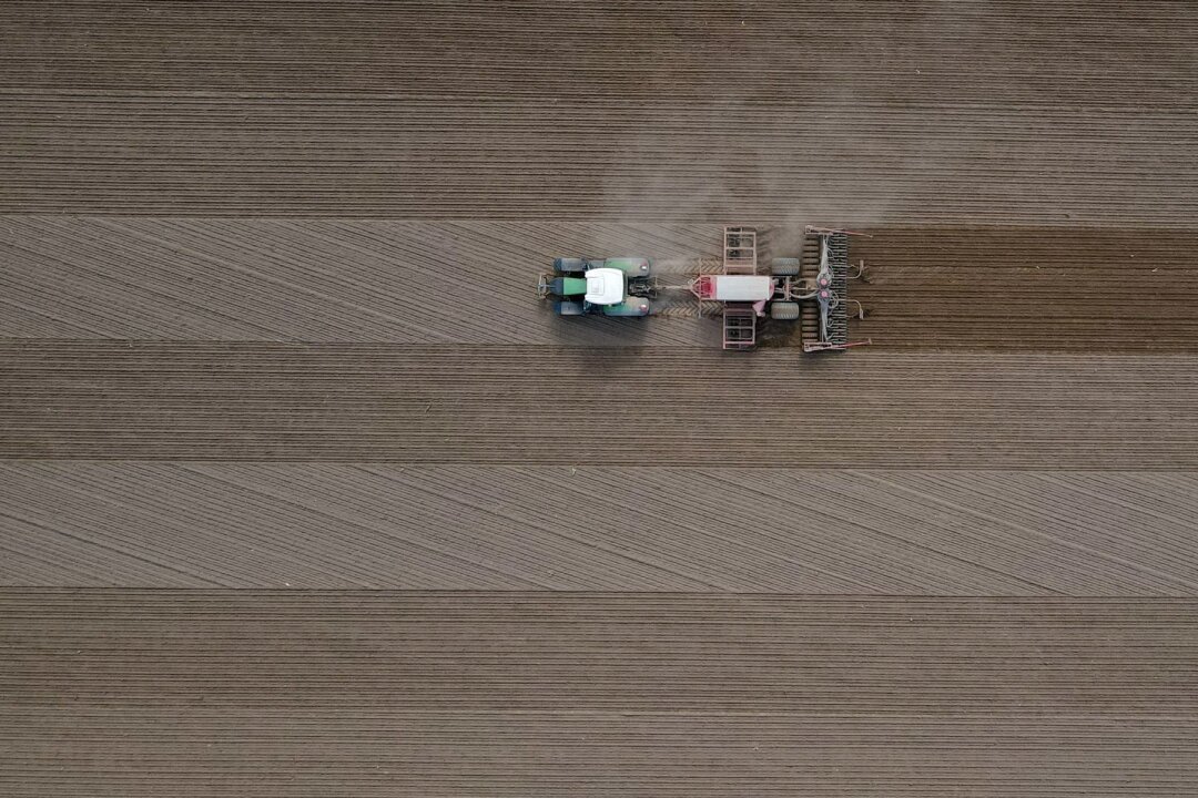 Ostdeutsche Bauern fordern weiteren Verkauf von Flächen - Ein Landwirt fährt mit seinem Traktor über ein Feld und bringt Saatgut in den Boden aus.