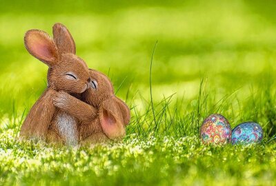 Osterbräuche: Warum ausgerechnet ein Hase? - Symbolbild. Foto: Pixabay