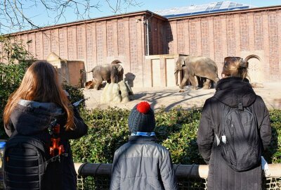 Osterwochenende: Leipziger Zoo startet Dino-Osterrallye - Klein und Groß sind im Leipziger Zoo anzutreffen. Foto: Maik Bohn