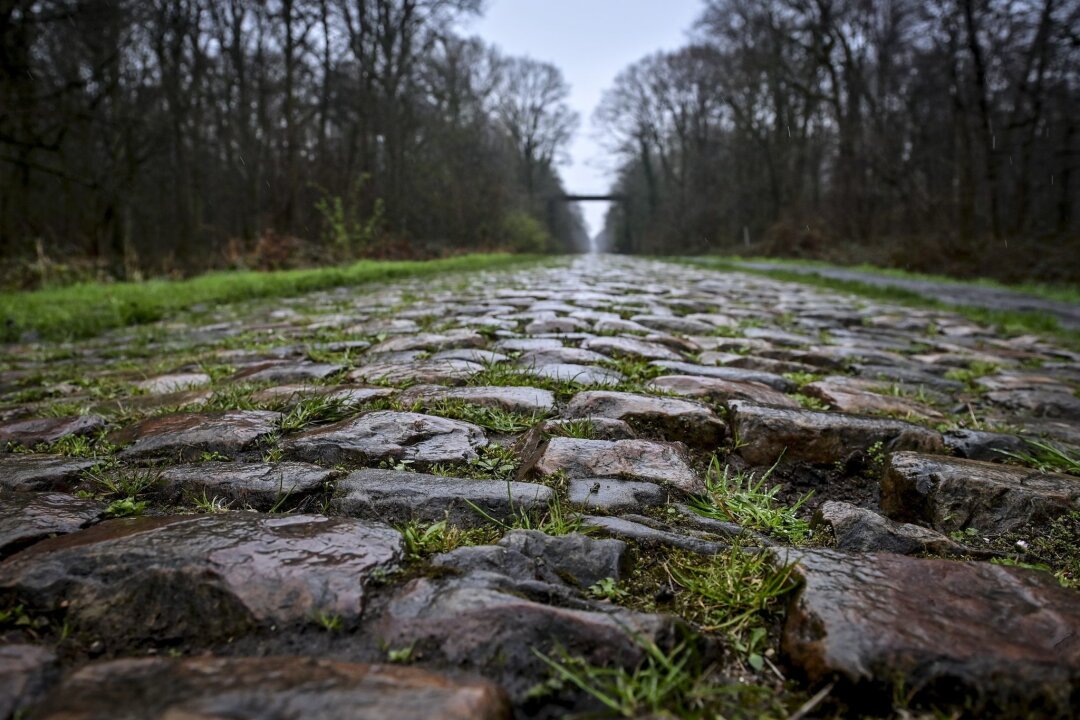 Paris-Roubaix: Radprofis streiten über Schikane - Der Rad-Klassiker Paris-Roubaix findet am Sonntag statt. Vor dem Arenberg-Wald soll nun eine Schikane das Fahrerfeld abbremsen.