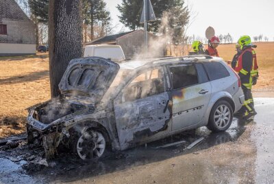 PKW-Brand in Grumbach: Auto brennt völlig aus - Der Renault brannte komplett aus. Foto: B&S