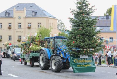 Pockau-Lengefeld: Stadtfest endet mit grandiosem Festumzug - Und bald werden in Lengefeld die Leute auch wieder Christbäume kaufen können. Foto: Jana Kretzschmann