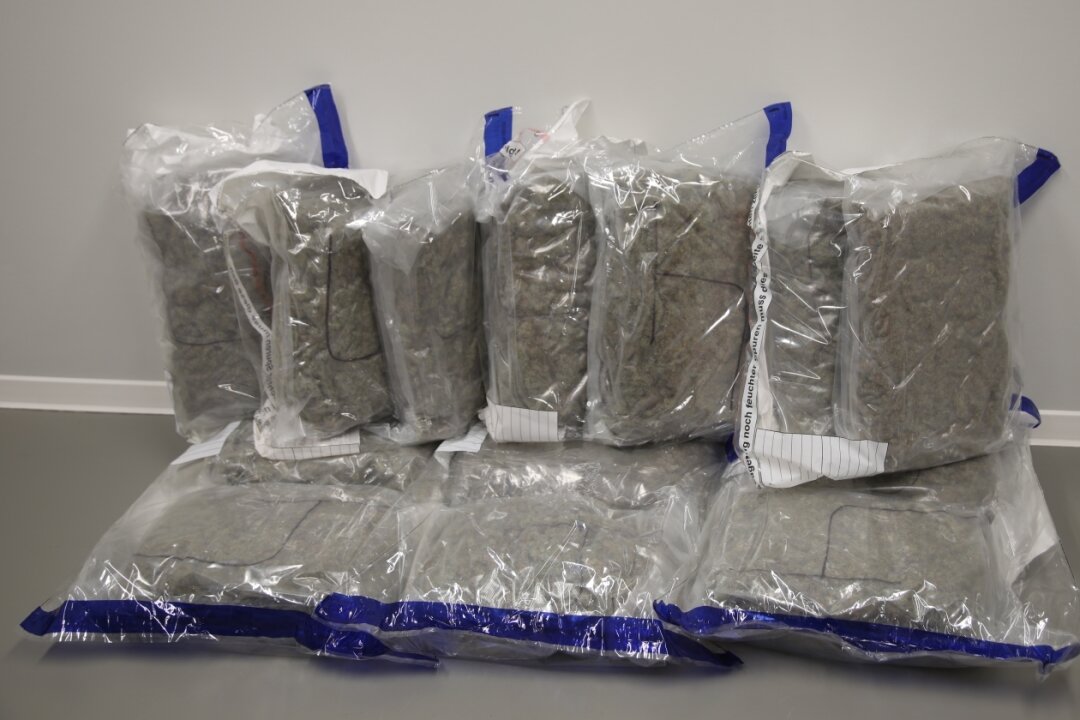 Polizei stellt 13 Kilogramm Marihuana in Zwickauer Wohnung sicher - 13 Kilogramm Marihuana wurden sichergestellt. Foto: Polizei Zwickau