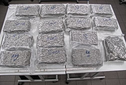 Polizei stoppt Drogenkurier: 16 Kilogramm Marihuana und 26.000 Euro beschlagnahmt - 16 Kilogramm Marihuana sichergestellt. Foto: Polizei Sachsen