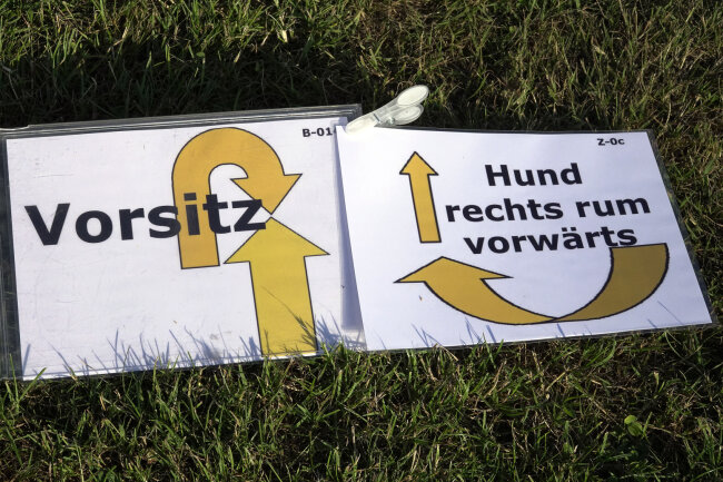Premiere in Chemnitz: Mehr als Sitz, Platz und Bei Fuß! - Anhand dieser Schilder können die Hundebesitzer erkennen, welche Übung für den Hund ansteht.