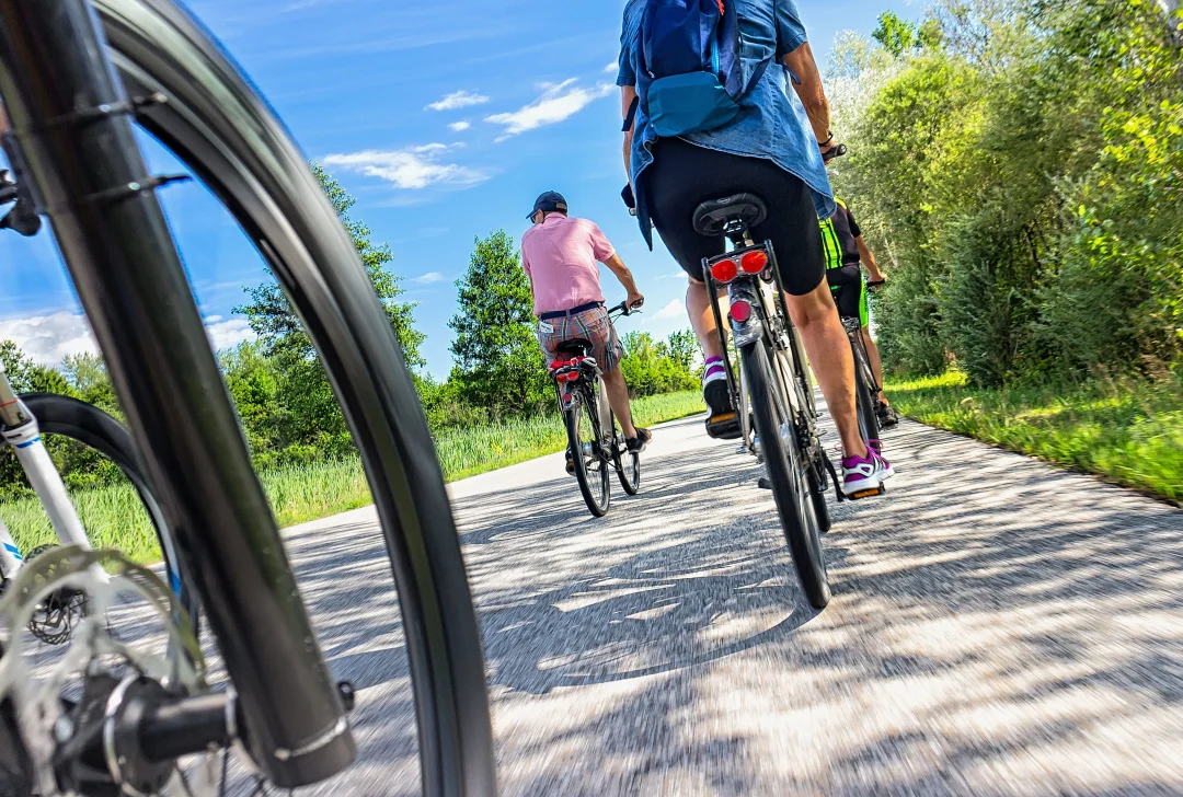 Radlerfrühling: Fahrradfahrer entdecken am 1. Mai das Muldental - Foto: Adobe Stock
