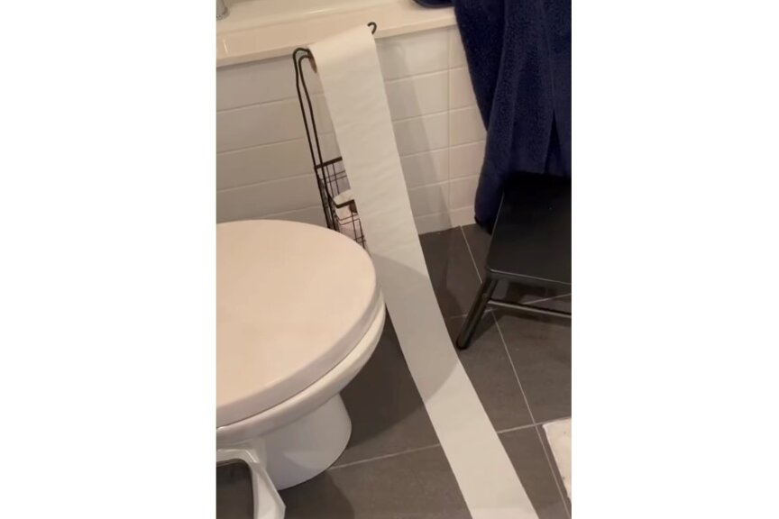 Rätselhaftes Geschehen: Wer steckt hinter dem Klopapierklau? - Beim Betreten des Badezimmers bemerkte die Person eine ausgerollte Klopapierrolle auf dem Boden und folgte den Spuren, die zu einem Schlafzimmer führten. Instagram: @catswiththeirtonguesout