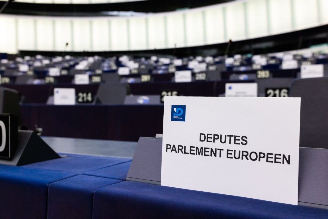 Rauswurf der AfD aus EU-Fraktion beschlossen - Zu der ID-Fraktion im EU-Parlament gehören neben der italienischen Lega unter anderem auch die französische Partei RN von Marine Le Pen.