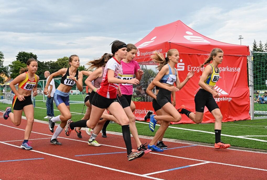 Junge Sportler haben in Stollberg um gute Zeiten gekämpft - hier der 800-Meter-Lauf der weiblichen U12. Foto: Ralf Wendland