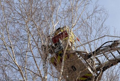 Rettungsaktion: Kater "Pimmel" auf der Flucht vor der Feuerwehr - Gegen 15.30 Uhr wurde die Freiwillige Feuerwehr Zschoppach in den Apfelweg gerufen. Foto: Sören Müller