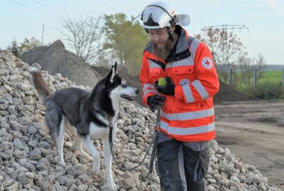 Rettungshunde beim Trümmertraining - Steve Hofmann und Balu sind beim Trümmertraining dabei gewesen. Foto: Ralf Wendland