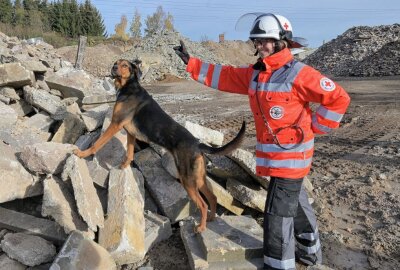 Rettungshunde beim Trümmertraining - Anja Gutknecht und Lilly sind beim Trümmertraining dabei gewesen. Foto: Ralf Wendland