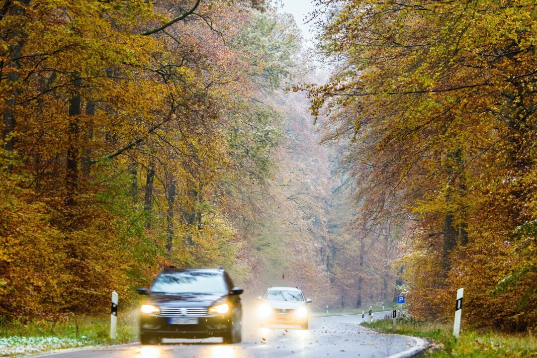 Rutschige Straßen: Auf längere Bremswege vorbereiten - Im Herbst können nasses Laub und Ernteschmutz für rutschige Straßen sorgen - also besser Tempo reduzieren und mehr Abstand halten.