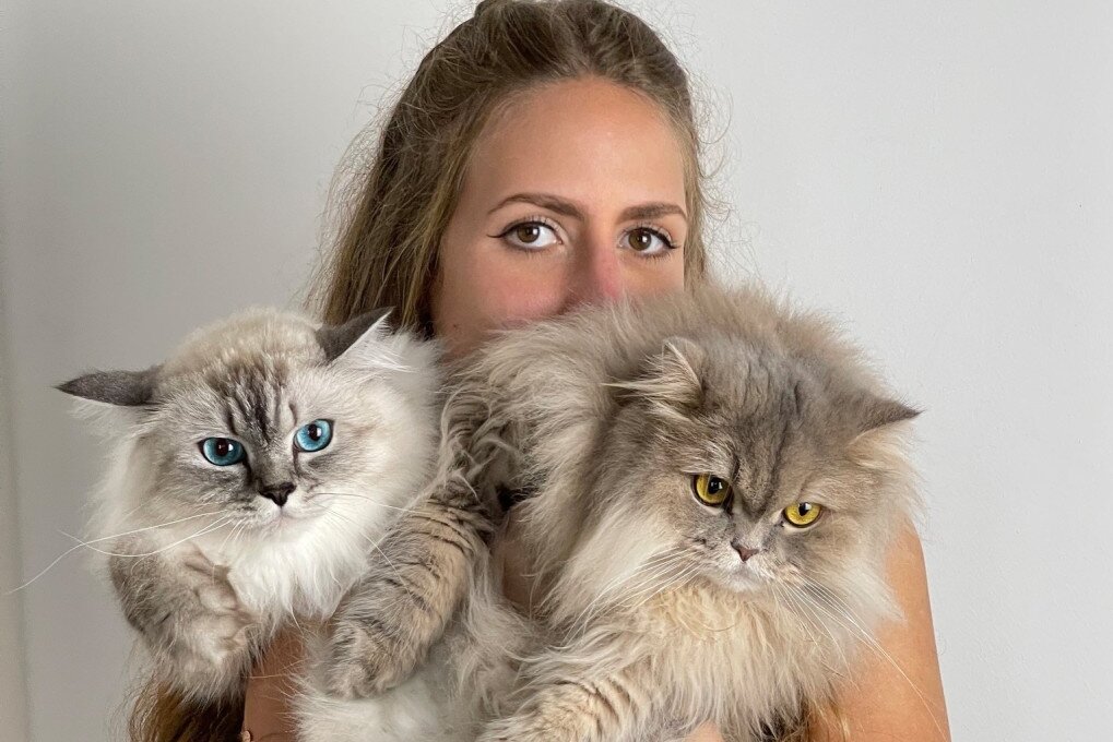 Sachsens schönste Katze hat über 150.000 Follower - Helen mit den beiden Mietzen Malia  (l.) und Puffel.