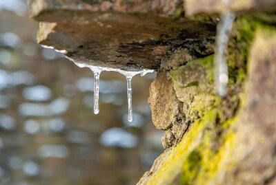 Sachsens Wetter gleicht einer Achterbahnfahrt - Eiszapfen am Wasserfall Sendig Mühle. Foto: André März