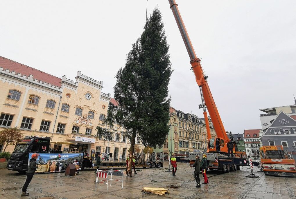 Sächsische Waldkönigin bringt den Weihnachtsbaum nach Zwickau - In Zwickau wurde heute der diesjährige Weihnachtsbaum aufgestellt. Foto: Ludmilla Thiele