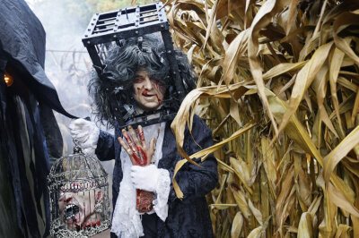 Schauerliche Halloween-Partys im Freizeitpark Plohn - Ein abgefahrener Grusel-Freak wandelt durchs Maisfeld-Labyrinth. Foto: Thomas Voigt  