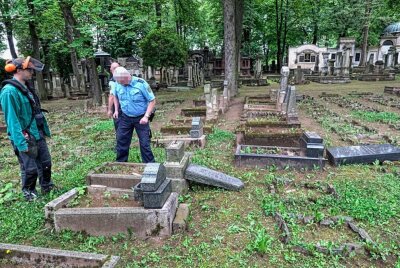 Scheußlich: Unbekannte randalieren auf jüdischem Kinderfriedhof - Unbekannte wüten auf dem Jüdischen Friedhof. Foto: Harry Härtel
