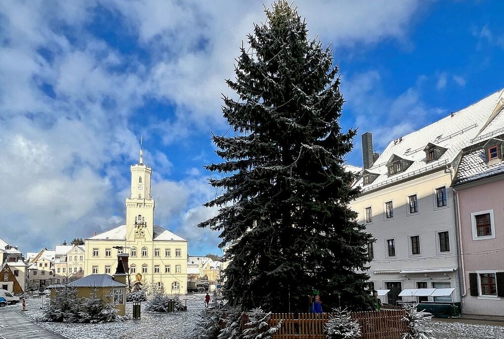 Schneeberg: Weihnachtsbäume werden entsorgt - Die Stadt Schneeberg startet am 14. Januar eine Entsorgungsaktion für Weihnachtsbäume. Foto: Ralf Wendland