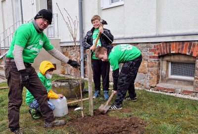 Schüler helfen bei Baumpflanzung in Arnsdorf - René Lautrich (links) pflanzt mit Schülern Kirschbäume. Foto: Andrea Funke