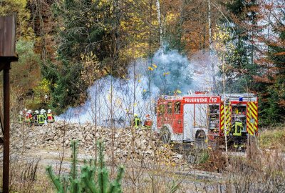 Schuppenbrand in Aue: Verdacht auf Brandstiftung - Die Feuerwehr Aue war im Einsatz. Foto: Niko Mutschmann