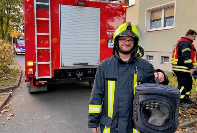 Schwarzenberg: Feuerwehr rettet Katze aus gekipptem Fenster - Foto: Daniel Unger