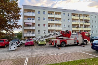 Schwarzenberg: Feuerwehr rettet Katze aus gekipptem Fenster - Foto: Daniel Unger