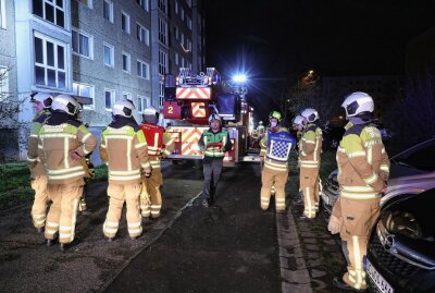 Schwere Brandstiftung: Kinderwagen in Flammen - Kinderwagen in Brand. Feuerwehreinsatz in Dresden. Foto: Roland Halkasch