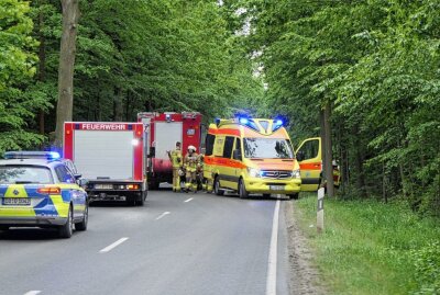 Schwerer Crash: Skoda kommt von Straße ab und prallt gegen Baum - Ein Skoda crasht bei Leipzig frontal gegen einen Baum. Foto: Sören Müller