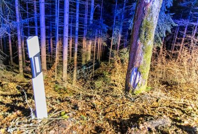 Schwerer Unfall im Erzgebirge: PKW überschlägt sich im Wald und prallt gegen Baum - Der Wagen kollidierte mit einem Straßenschild, hob ab und überschlug sich anschließend im Wald. Foto: André März