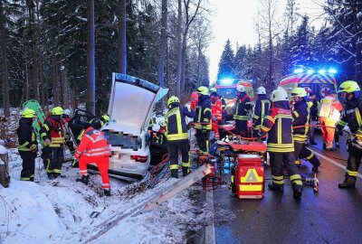 Schwerer Verkehrsunfall: PKW kollidiert mit Baum - Am Dienstag ereignete sich gegen 15.05 Uhr auf der Frauensteiner Straße, zwischen Grillenburg und Klingenberg, ein schwerer Verkehrsunfall. Foto: Roland Halkasch