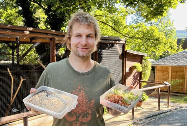 Seramas im Auer Zoo der Minis haben Nachwuchs - Zootierpfleger Peter Hömke hat für die Serama-Hühner Salat und Sämereien dabei. Foto: Ralf Wendland