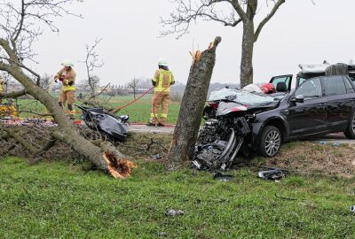 Skoda prallt gegen Baum: Beifahrer muss aus Fahrzeug befreit werden - Bei Trebsen kam es zu einem Unfall, bei dem der Beifahrer schwer verletzt wurde. Foto: Sören Müller
