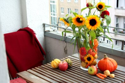 So einfach gelingt eine Herbst-Deko mit Kürbissen - Kürbisse und Blumen: Eine schöne Idee für Balkon und Wohnung.