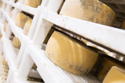 So finden Sie guten Käse - und genießen ihn richtig - Käse ist ein Naturprodukt, deshalb ist es schwer, immer den gleichen Geschmack zu erzeugen.