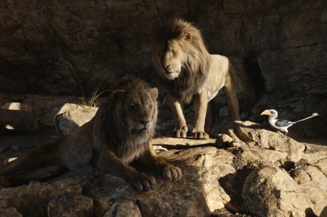 So gut ist "Der König der Löwen" wirklich - Konkurrenz zwischen den Brüdern Simba und Scar.