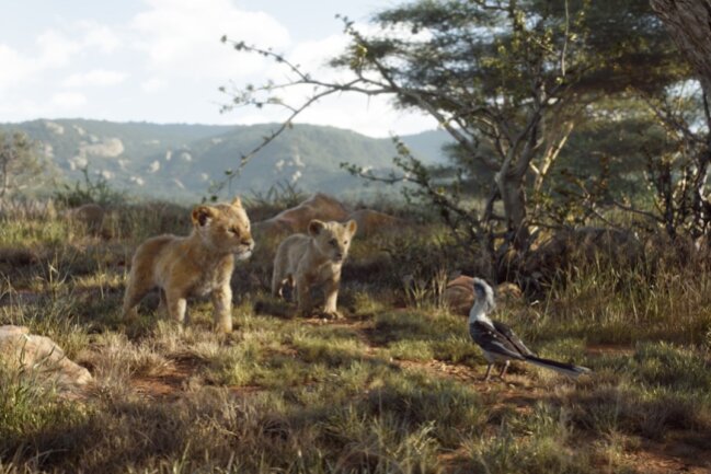 So gut ist "Der König der Löwen" wirklich - Simba und Nala auf Erkundungstour im geweihten Land.