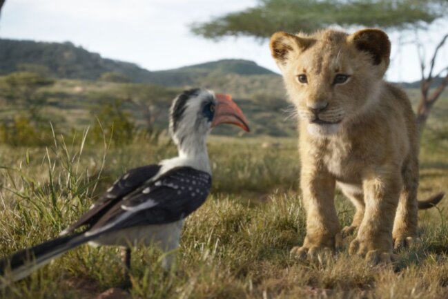 So gut ist "Der König der Löwen" wirklich - Simba und Vögelchen Zazou.