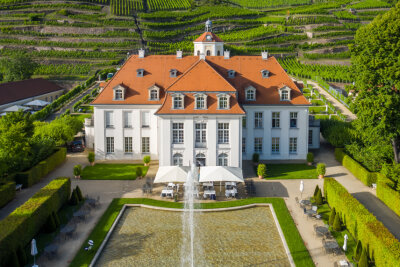 So schön ist Sachsen: Top 20 Ausflugsziele und Sehenswürdigkeiten - Die Weinberge in Radebeul ziehen nicht nur durch ihre malerische Landschaft die Touristen im Sommer an. Auch die saftigen Weinreben laden zum Wine-Tasting ein. Hier sieht man das Weingut "Schloss Wackerbarth", was sehr bekannt ist.