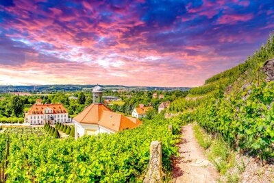 So schön ist Sachsen: Top 20 Ausflugsziele und Sehenswürdigkeiten - Die Weinberge in Radebeul ziehen nicht nur durch ihre malerische Landschaft die Touristen im Sommer an. Auch die saftigen Weinreben laden zum Wine-Tasting ein. Hier sieht man das Weingut "Schloss Wackerbarth", was sehr bekannt ist.