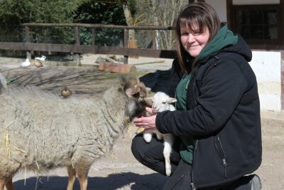 So süß! Erstes Osterlämmchen im Zoo der Minis geboren -  Zootierpflegerin Silke Bauer mit ersten Osterlämmchen. 