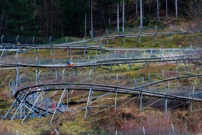 Sommerrodelbahnen: Diese 7 Anlagen stechen heraus - Die Sommerrodelbahn am Hasenhorn im Schwarzwald ist fast drei Kilometer lang.