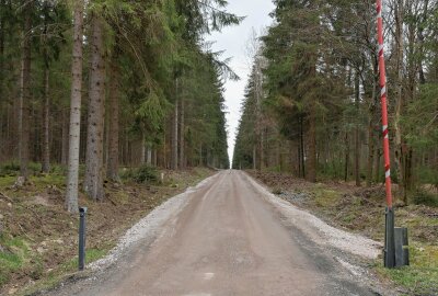 Sosa: Forst hat beliebten Radweg wieder in Stand gesetzt - Der Radweg ist wieder in Stand gesetzt. Foto: Ralf Wendland