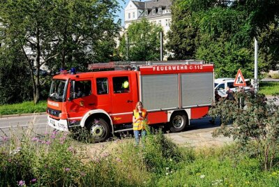 Spektakuläres Entenküken-Rettungsmanöver in Chemnitz - Auch die Feuerwehr war im Einsatz. Foto: Harry Härtel 